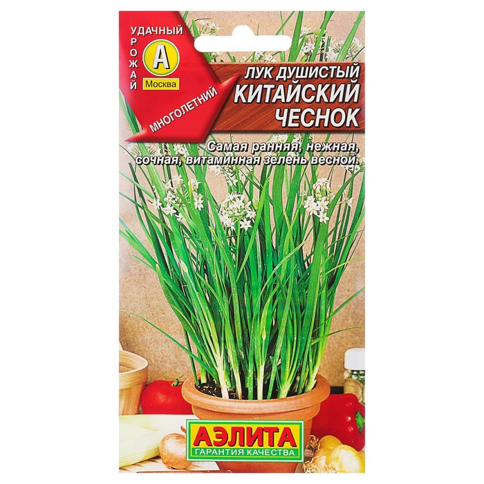 Купить Семена Лука В Интернет Магазине