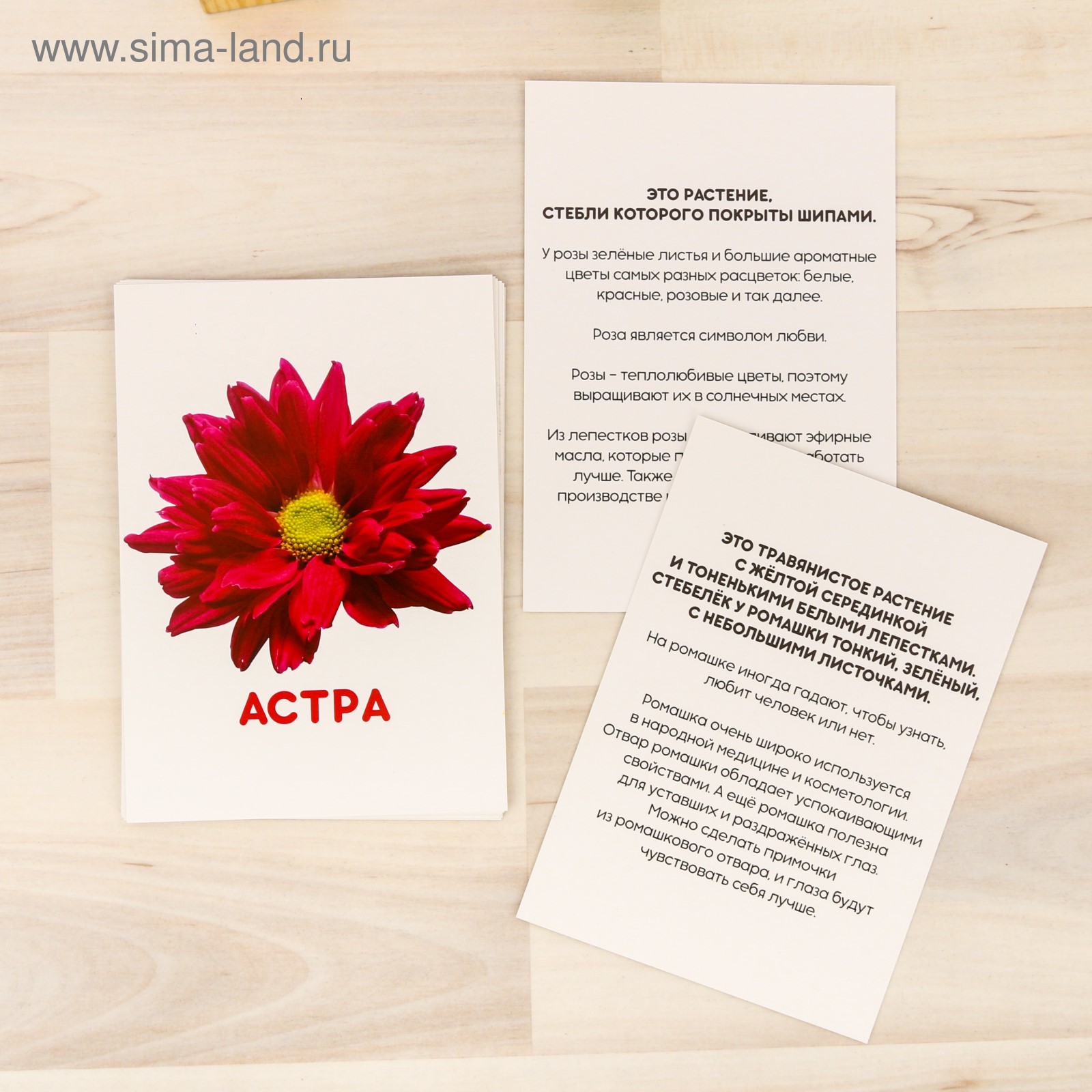 Картинки домана цветы