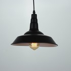 Светильник подвесной "Люк" черный 1х40Вт Е27 27х27х19см - фото 3484759