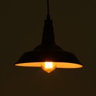 Светильник подвесной "Люк" черный 1х40Вт Е27 27х27х19см - фото 3484760