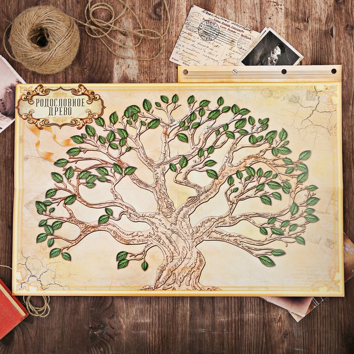 Родословная книга с пером "Книга нашей семьи" УЦЕНКА