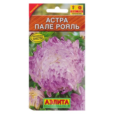 Флип Интернет Магазин В Казахстане Семена