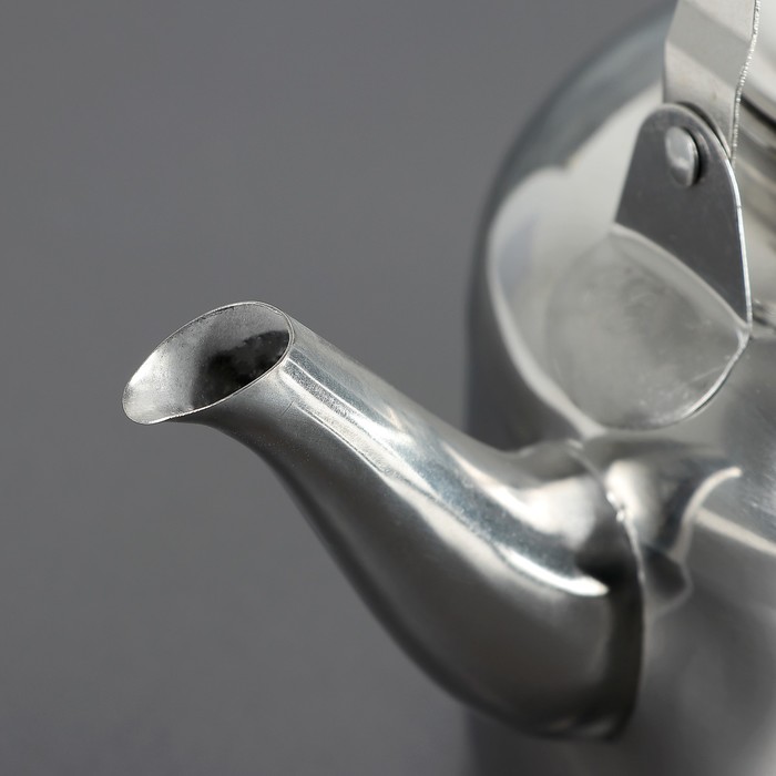 Чайник «Вдохновение», 2,5 л - фото 798095646