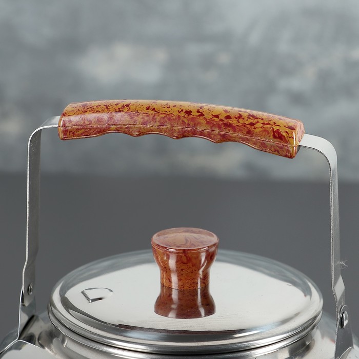 Чайник «Вдохновение», 2,5 л - фото 798095648