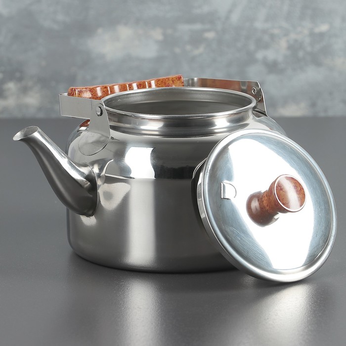 Чайник «Вдохновение», 2,5 л - фото 798095649