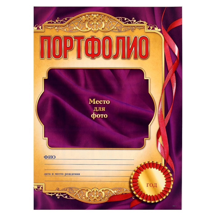 Портфолио 11 класс. Портфолио выпускника 9 класса. Титульный лист для портфолио школьника. Портфолио для выпускника 9 класса образец. Титульный лит портфолио.