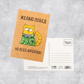 Почтовая карточка «С 23 февраля», котик, 10 × 15 см (10 шт)