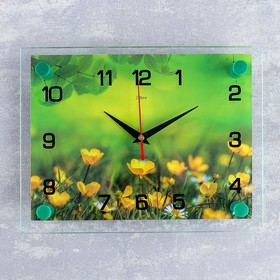 Часы настенные, серия: Цветы, ′Лето′, 20х26 см в Донецке