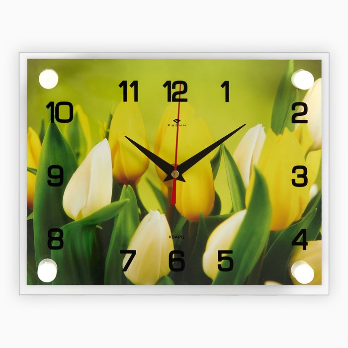 Часы настенные, серия: Цветы, "Тюльпаны", 20х26 см  микс