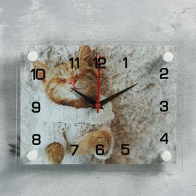 Часы настенные, серия: Животный мир, "Мур-Мур", 20х26 см, микс в Донецке