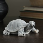Сувенир "Черепаха малая №1" 4см - фото 589591