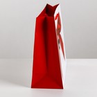 Пакет ламинированный вертикальный «Счастье моё», ML 23 × 27 × 11,5 см 3639808