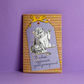 Открытка «В твой чудесный День Рождения», пес и кот, частичный УФ-лак, 12 × 18 см