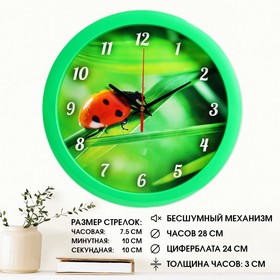 Round wall clock 