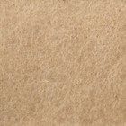 Полотно нетканое, иглопробивное, плотность 150 г/м², 2,1 × 30 м Полотно нетканое, иглопробивное, плотность 150 г/м², 2,1 × 30 м