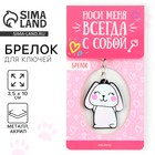 Брелок акриловый двусторонний «Зайка» Брелок акриловый двусторонний «Зайка»