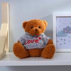 Мягкая игрушка «Медведь», кофточка с надписью, цвета МИКС - фото 106962249