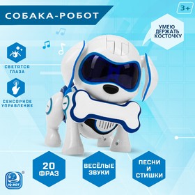 {{photo.Alt || photo.Description || 'Робот-собака «Чаппи», русское озвучивание, световые и звуковые эффекты, цвет синий'}}