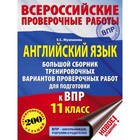 Большой сборник тренировочных вариантов к ВПР «Английский язык, 11 класс», Музланова Е. С. 4090610 - фото 5856051