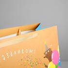 Пакет ламинированный «С Праздником!», XL 49 × 40 × 19 см 3860962