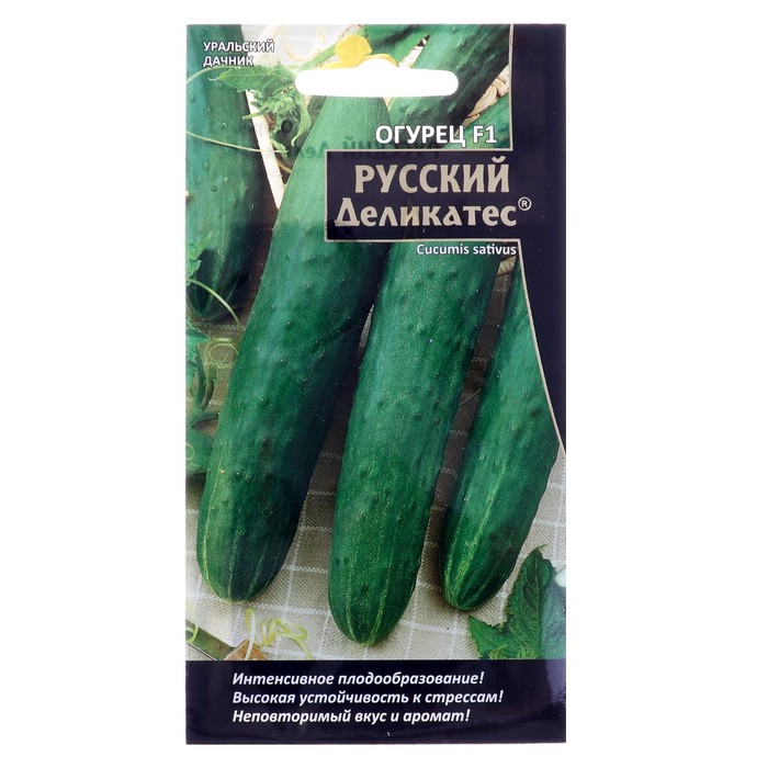 Семена Огурцы Уральский Дачник Купить