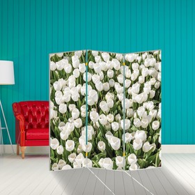 Ширма "Тюльпаны. декор 6" 150 × 160 см в Донецке