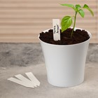 Бирки садовые для маркировки, 10 см, набор 15 шт., пластик, белые 4123258