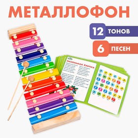 Металлофон, 12 тонов + карточки с песнями в Донецке