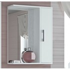 Шкаф-зеркало "Эко-55" 20 х 50 х 75 см, белый правый - фото 928837