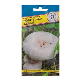 {{photo.Alt || photo.Description || 'Мицелий грибов Волнушка белая, 60 мл'}}