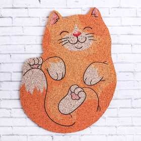 Органайзер настенный пробковый «Котик», 22.6 × 31 см