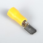 The tip is flat with a plastic tube of 6 mm, packing 50 PCs