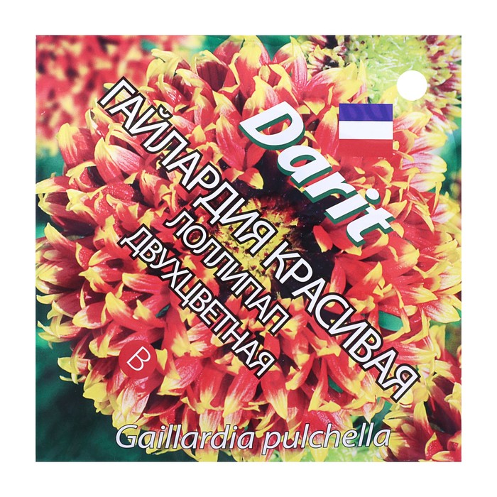 Семена цветов Гайлардия красивая "Лоллипап" двухцветная, Мн, DARIT  0,1 г