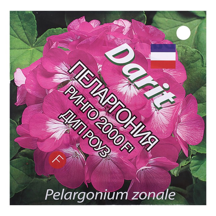 Семена цветов Пеларгония "Ринго 2000" F1 Дип Роуз, Мн, DARIT  4 шт