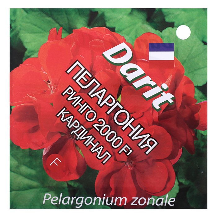 Семена цветов Пеларгония "Ринго 2000" F1 Кардинал, Мн,DARIT   4 шт