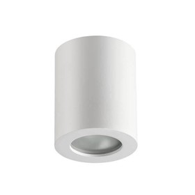 Светильник AQUANA, 1x50Вт, GU10, IP44, цвет белый