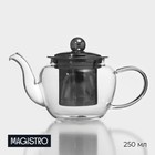 The tea pot with a metal sieve 200 ml "Kaliopa"