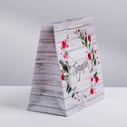 Пакет ламинированный квадратный «Чудесный подарок», 22 × 22 × 11 см 3680984