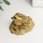 Netsukes Polyresin bronze "Toad with a coin" 4,5x4,5x4 cm