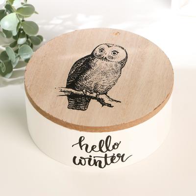 описание_картинки