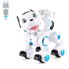 Robot interactive radio-controlled, programmable 
