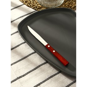 Нож столовый «Эко-стейк», 20 см (12 шт)