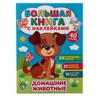 Большая книга с наклейками «Домашние животные», 240 х 330 мм Большая книга с наклейками «Домашние животные», 240 х 330 мм