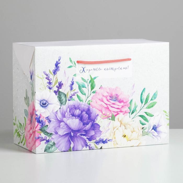 Пакет—коробка «Хорошего настроения», 28 × 20 × 13 см