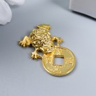 Souvenir metal "Money toad with a coin" gold 2,6x1,5 cm