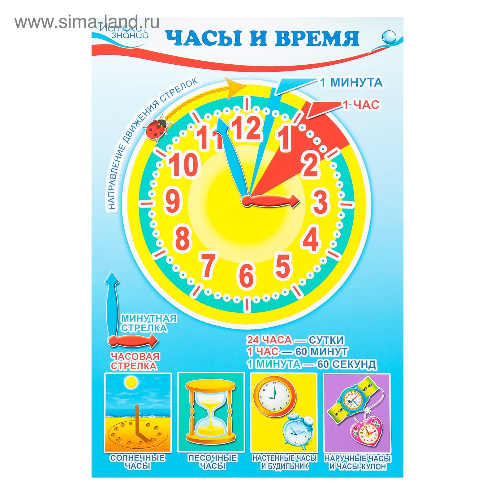100 недель в часах. Изучение часы для дошкольников. Плакат с часами для детей. Ознакомление дошкольников с часами. Часы для изучения времени детям.