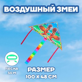 Воздушный змей «Орёл», с леской в Донецке