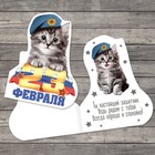 Открытка поздравительная «C 23 Февраля!», котёнок в берете, 7 × 9 см Открытка поздравительная «C 23 Февраля!», котёнок в берете, 7 × 9 см