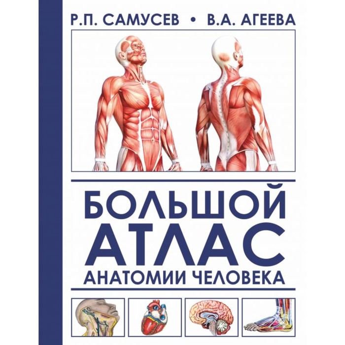 Медицинский атлас по анатомии человека в картинках