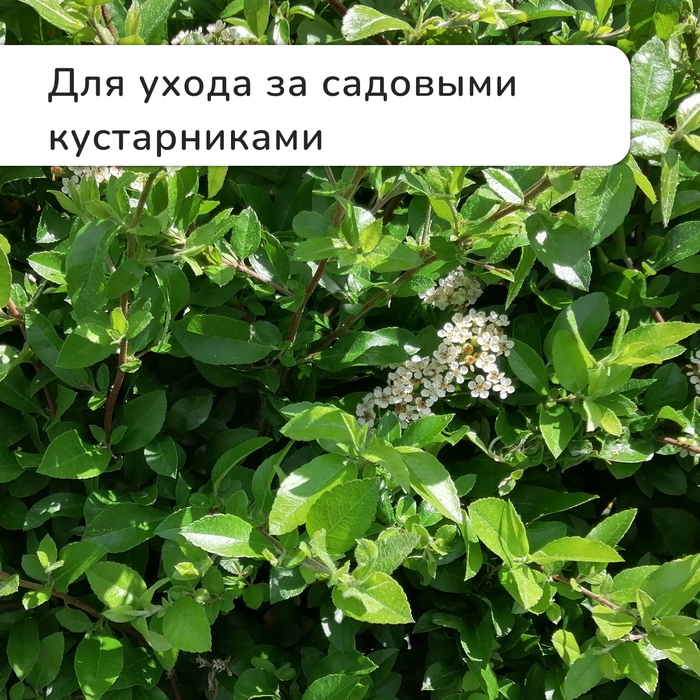 картинки секатор садовый оптимальный полив